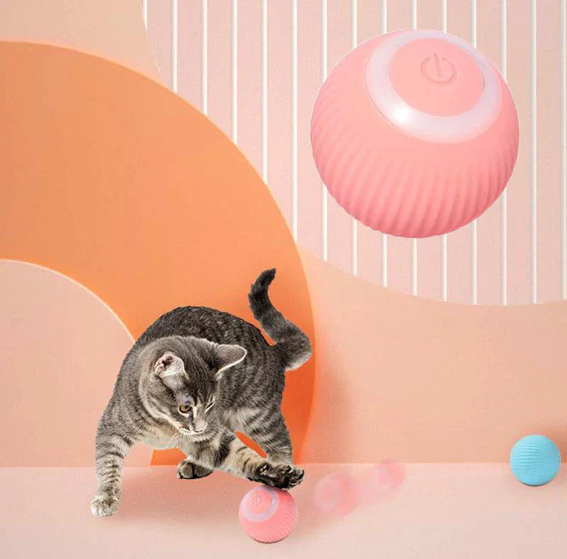 Spark and Find™ Interactive Ball - Keeping your pet entertained for hours